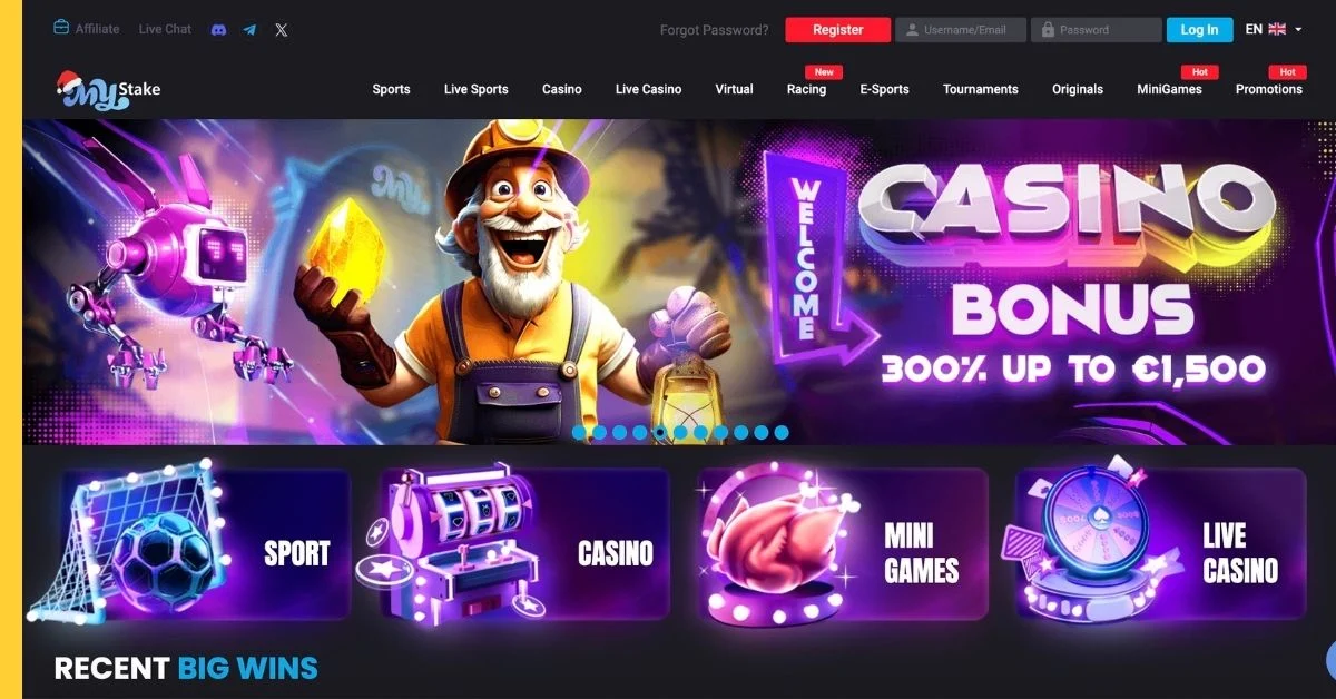 My Stake Casino